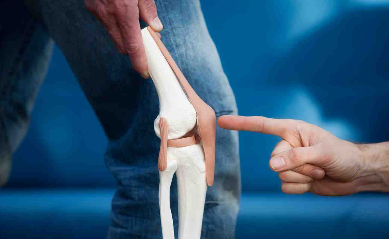 Knee Joint - Curezone Physiotherapy